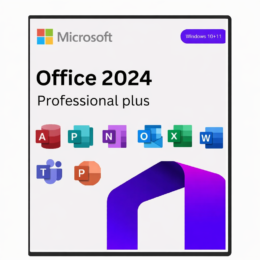 Microsoft Office 2024 Professional Plus